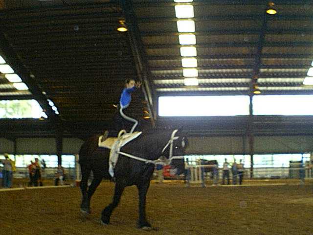 amandaandlaurenvaulting2.jpg
