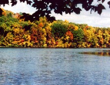 lake.jpg